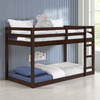 Gaston Espresso Loft Bed Gaston Espresso Loft Bed