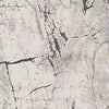 Wyscott 5'3" x 7'3" Rug Product image