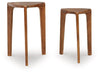 Brynnleigh Accent Table (Set of 2) Product image