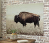 Brutus Wall Art Product image