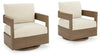 Serene Bay Outdoor Swivel Glider Chair with Cushion Product image