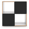 Onita Four Cube Organizer Onita Four Cube Organizer
