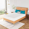 Forsythia 10" Full Green Tea Gel Memory Foam Forsythia 10" Full Green Tea Gel Memory Foam