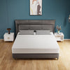 Forsythia 10" Queen Green Tea Gel Memory Foam Forsythia 10" Queen Green Tea Gel Memory Foam