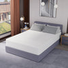 Forsythia 12" Queen Green Tea Gel Memory Foam Forsythia 12" Queen Green Tea Gel Memory Foam