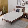 Forsythia 12" Twin Green Tea Gel Memory Foam Forsythia 12" Twin Green Tea Gel Memory Foam
