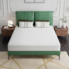 Forsythia 8" E.King Green Tea Gel Memory Foam Forsythia 8" E.King Green Tea Gel Memory Foam