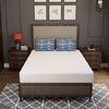 Forsythia 8" Full Green Tea Gel Memory Foam Forsythia 8" Full Green Tea Gel Memory Foam