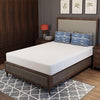 Forsythia 8" Full Green Tea Gel Memory Foam Forsythia 8" Full Green Tea Gel Memory Foam