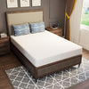Forsythia 8" Full Green Tea Gel Memory Foam Forsythia 8" Full Green Tea Gel Memory Foam
