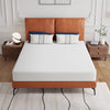 Forsythia 8" Queen Green Tea Gel Memory Foam Forsythia 8" Queen Green Tea Gel Memory Foam
