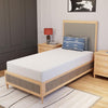 Forsythia 8" Twin Green Tea Gel Memory Foam Forsythia 8" Twin Green Tea Gel Memory Foam