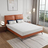 Forsythia Mattress Forsythia Mattress
