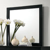 Louis Philippe Mirror Louis Philippe Mirror