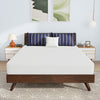 Nasturtium Mattress Nasturtium Mattress