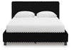 Zuraleus Bed