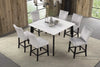 Sabro 5 Pc Counter Ht Table Set