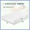 Artemisia 12" Memory Foam Mattress