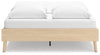Cabinella Bed