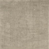 Camara Area Rug
