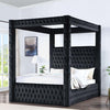 Etherea Bed Gray & Black