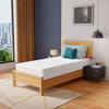 Coreopsis 10" Twin Memory Foam Wave Comfort