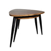 Cove Nesting Tables (2/CTN) image