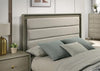 Rainier Queen Bedroom Set