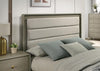 Rainier Bed