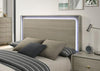 Rainier Bed Gray