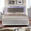 Brachium Bed