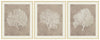 Hendridge Wall Art (Set of 3)