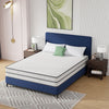 Catmint 10" Queen Innerspring Mattress image