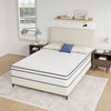 Catmint 10" Full Innerspring Mattress
