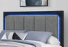 EMMA BLACK/GREY QUEEN BED GROUP