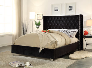 Meridian Furniture Aiden Velvet Queen Bed in Black AidenBlack-Q image